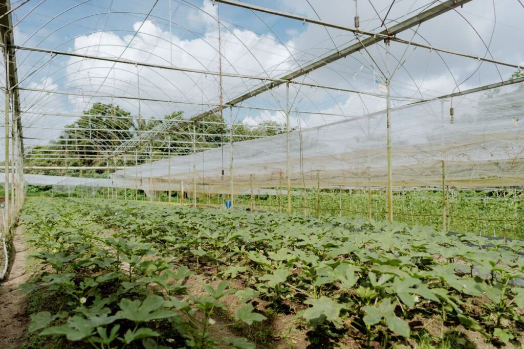 Environmental Sustainability