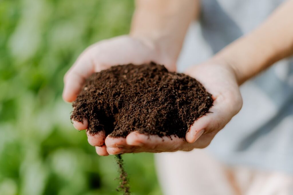 Soil Enrichment