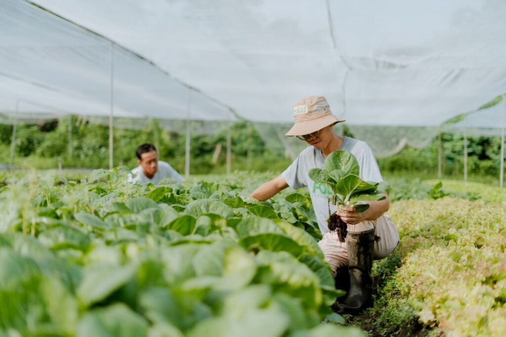 Support for Circular Economy